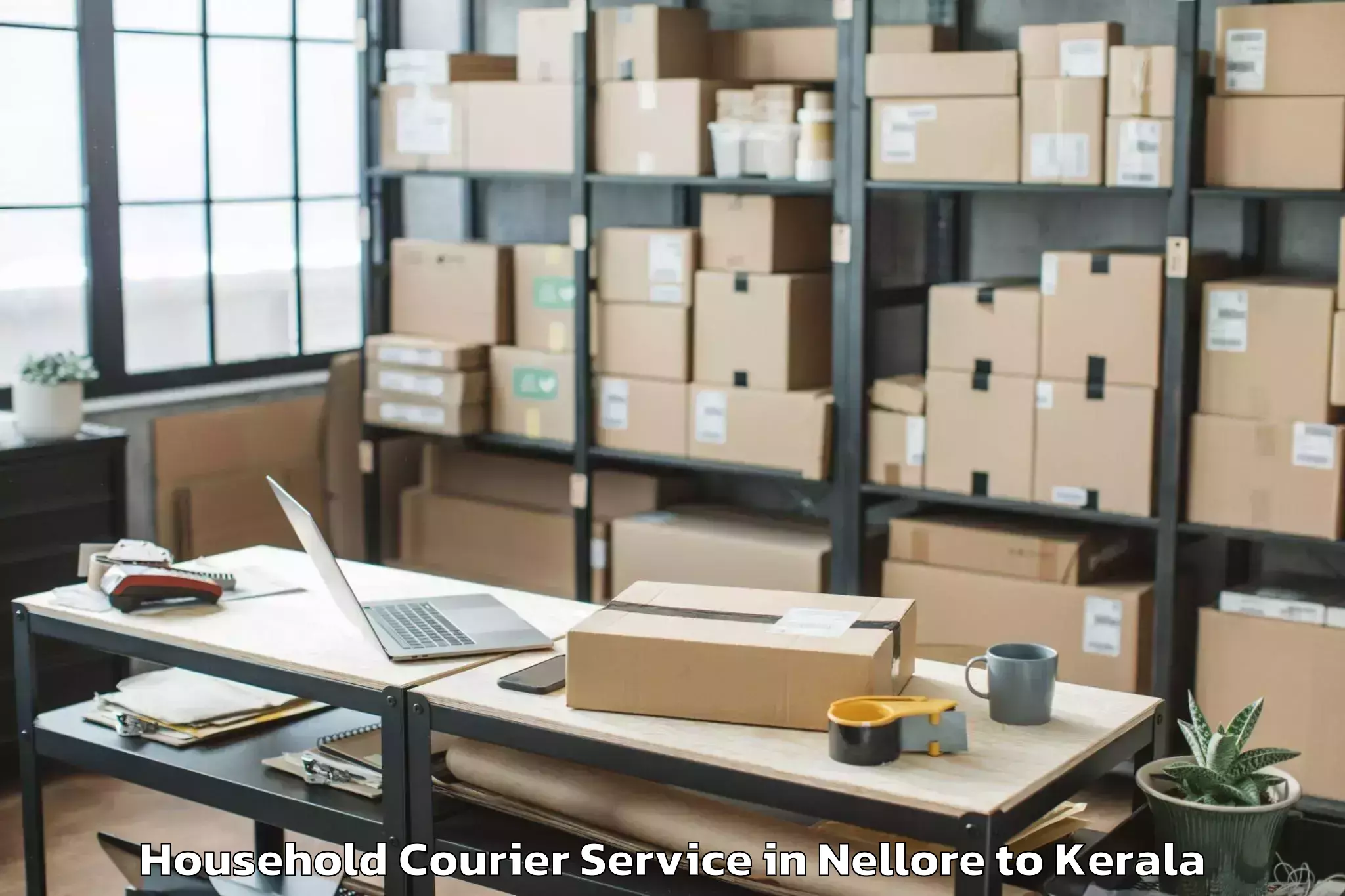 Hassle-Free Nellore to Kerala Kalamandalam Cheruthuru Household Courier